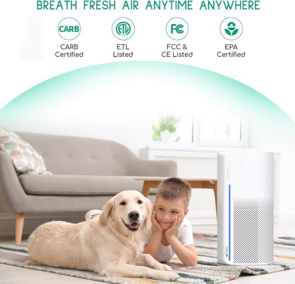 Afloia 2-in-1 Air Purifier with Humidifier and 3-Stage Filters - Image 8