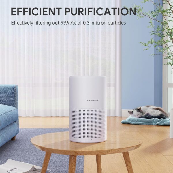 FULMINARE H13 True HEPA Air Purifier (White 2 Pack) - Image 6